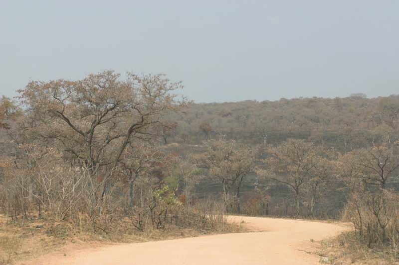 Uitzicht onderweg op Voortrekkers road
Pretoriuskop naar Afsaal picknick area
(Kruger Park 2007-09)