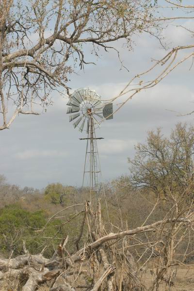 Een van de vele windmolens bij waterplaatsen.
(Kruger Park 2007-09)