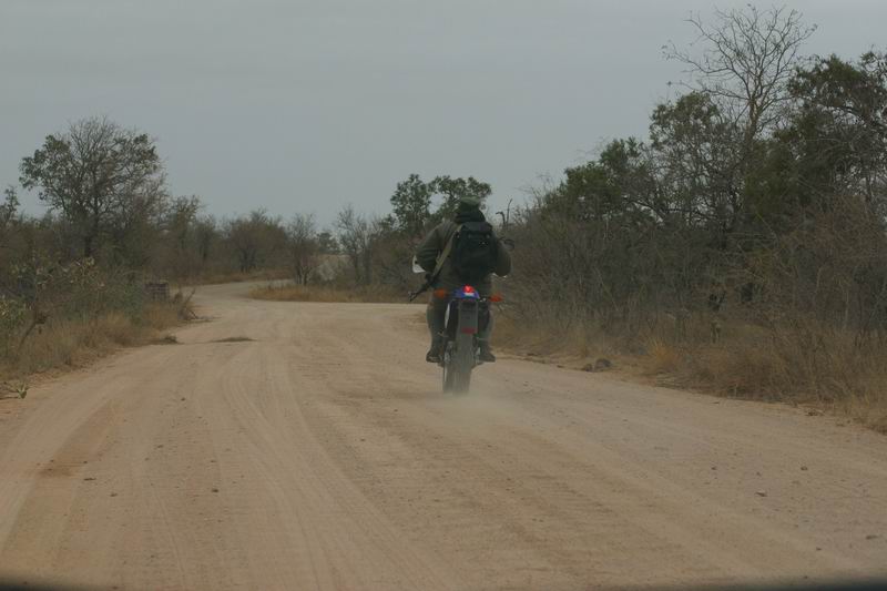 Een park medewerker op een motor, wel ook gewapend
(Kruger Park 2007-09)