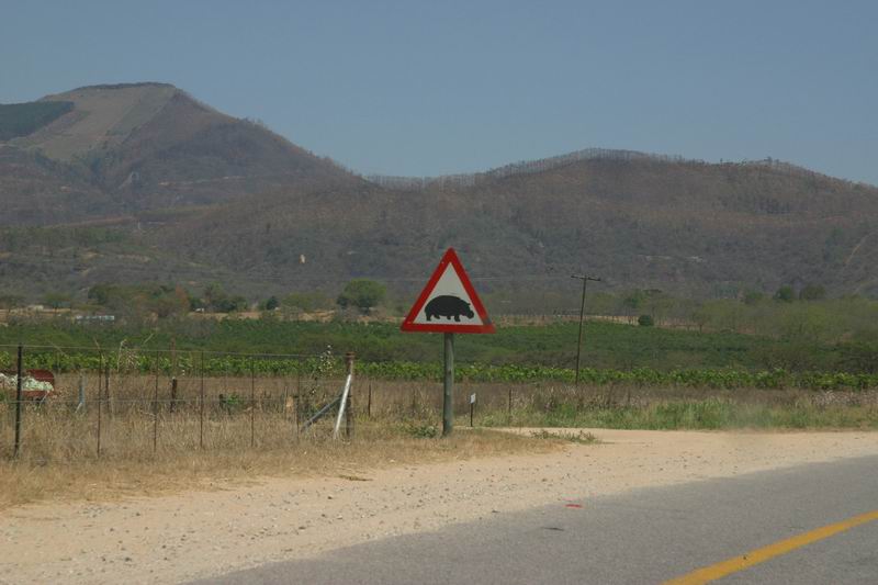 Dit bord hebben we wel vaker gezien (in de Kleine Drakensbergen), maar langs de SNELWEG?
(Kruger Park 2007-09)