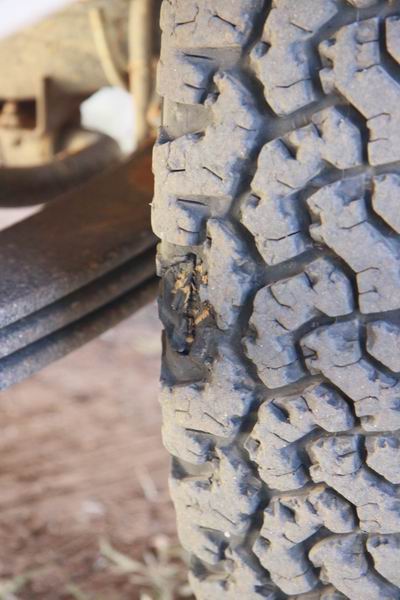 Heel blok profiel rubber van een band afgebroken (4-2011) 
Toevallig ontdekt bij een koffiestop in de West MacDonnell Ranges. Omgekeerd naar Alice Springs om te vervangen
