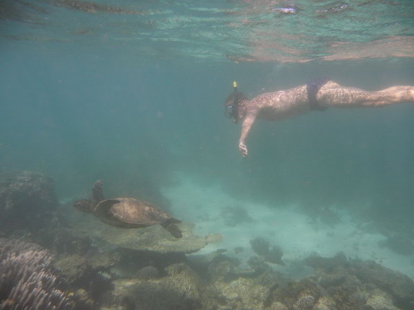 Fred mei 2013 Turquoise Bay in Cape Range NP Met zeeschildpad op het Ningaloo Reef
