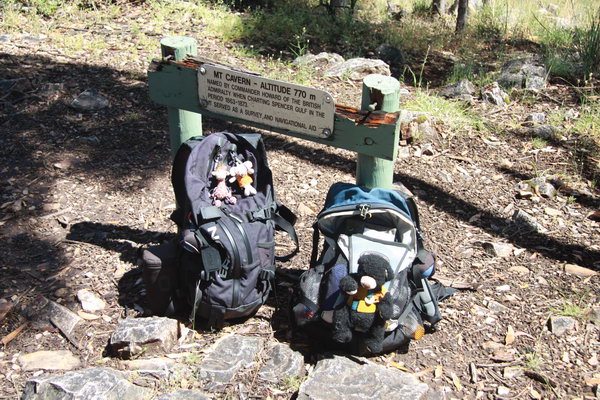 Beer, Muis en Giraffe op de rugzakken op de top.
Ruim 600 meter gestegen over twee erg steile stukken, erg vermoeiend