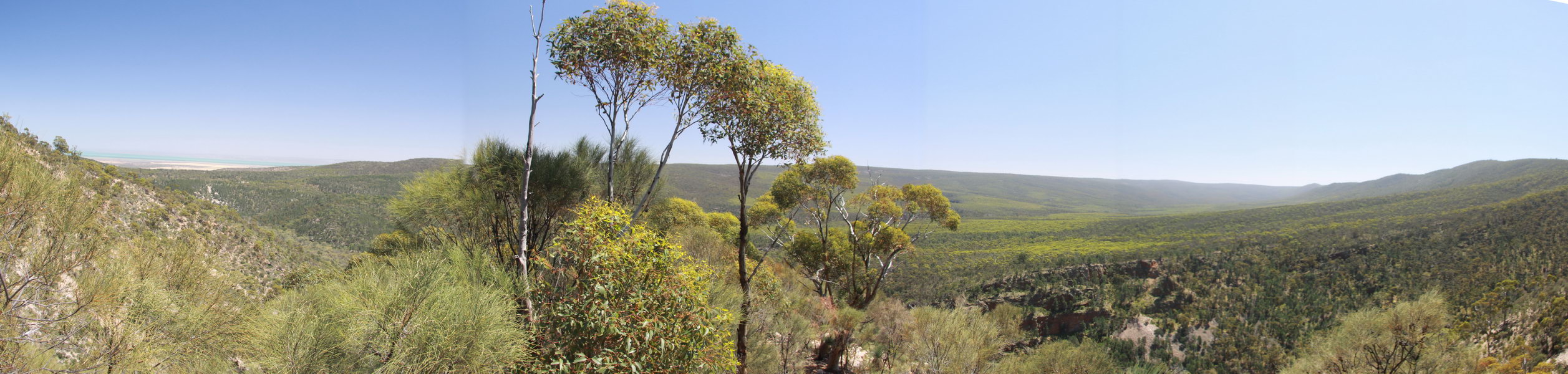 Het uitzicht over het National Park tijdens de, ook steile, afdaling