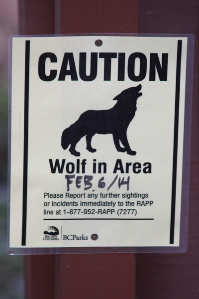 Recent een wolf gezien op deze wandeling 
Helaas hebben wij hem/haar niet gezien
