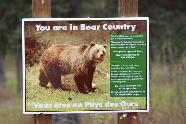 Pas op je bent in beer gebied