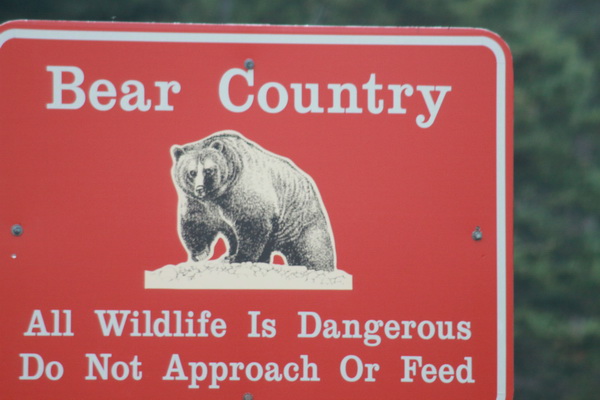 Bear country