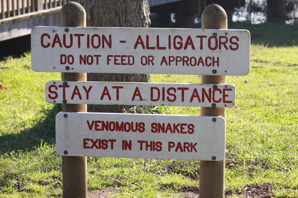 Waarschuwing Alligators en Snakes