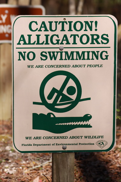 Niet zwemmen, Alligators