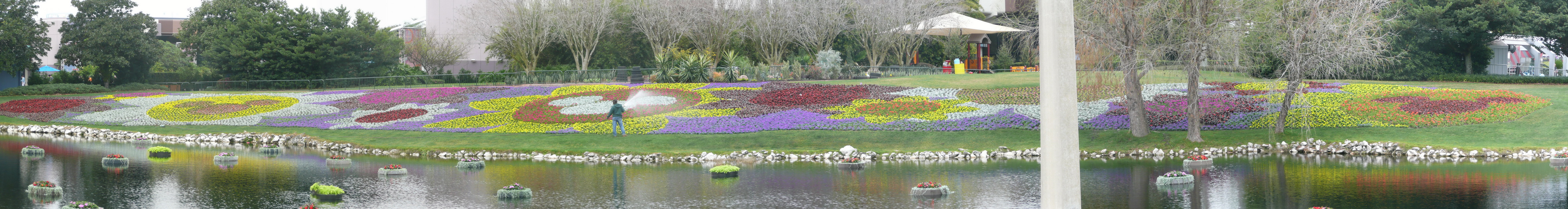 Ruim opgezet en hele mooie beplanting en bloemen