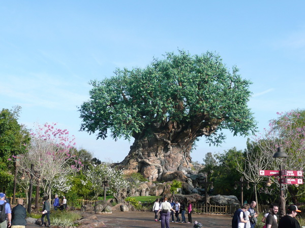 Tree of Life
Heel veel dieren in de stam en takken opgenomen