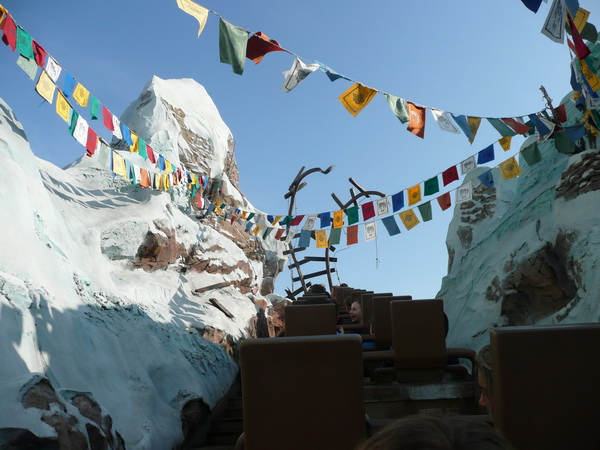 Expedition Everest
Doodlopend stuk baan... het stuk achteruit door het donker brengt je maag echt naar boven.
Verder viel het wel mee