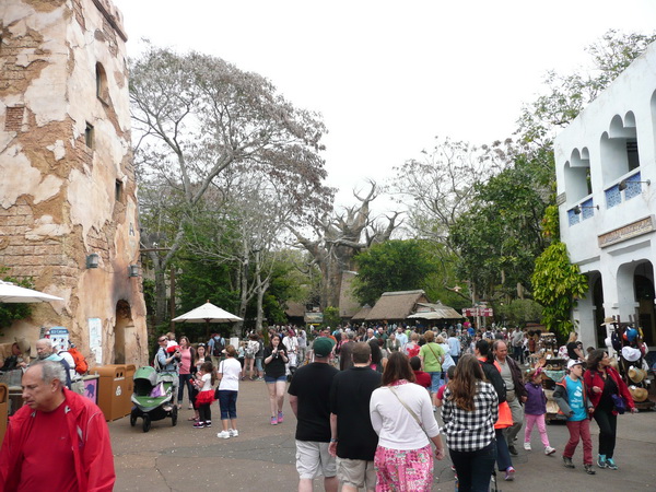 Beeld van Animal Kingdom