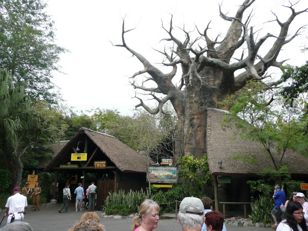 Beeld van Animal Kingdom