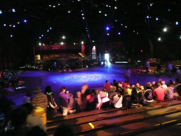 Festival of the Lion King
Dans, zang en acrobatiek rond de Lion King
