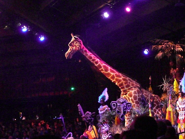 Festival of the Lion King
Dans, zang en acrobatiek rond de Lion King