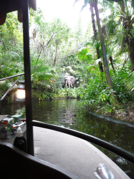 Jungle Cruise
Leuke cruise tussen nepdieren door en komische situaties, ook de gids maakt steeds dubbelzinnige opmerkingen (in het Engels...)