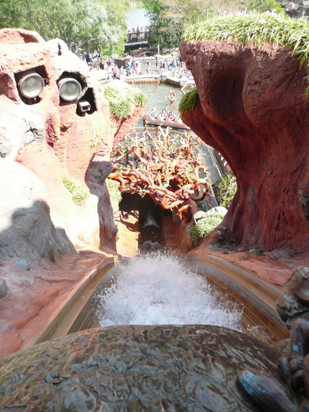 Splash Mountain - met broer Konijn
... de duik naar beneden