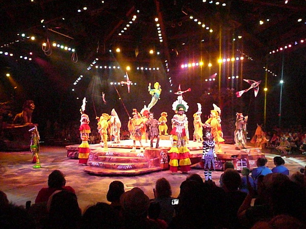 Festival of the Lion King
Dans, zang en acrobatiek rond de Lion King