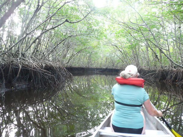 Magda maart 2015 Collier-Seminole SP (Florida, USA)
Kano tochtje door wetlands