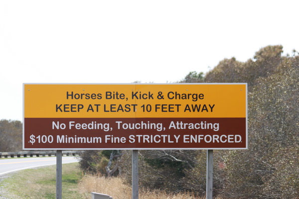 Wilde paarden waarschuwing