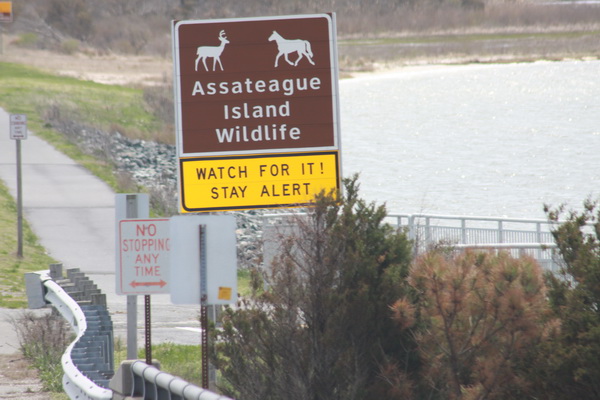 Wildlife op weg waarschuwing