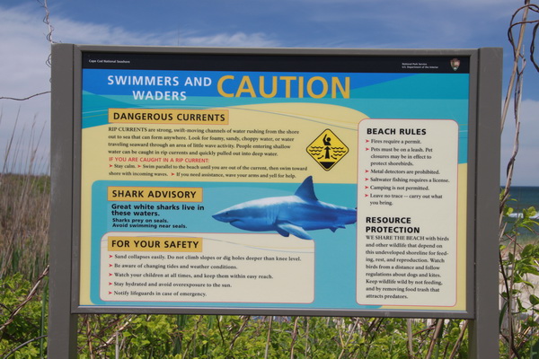 White Shark waarschuwing

