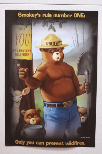 Bosbrand preventie door Smoky Bear