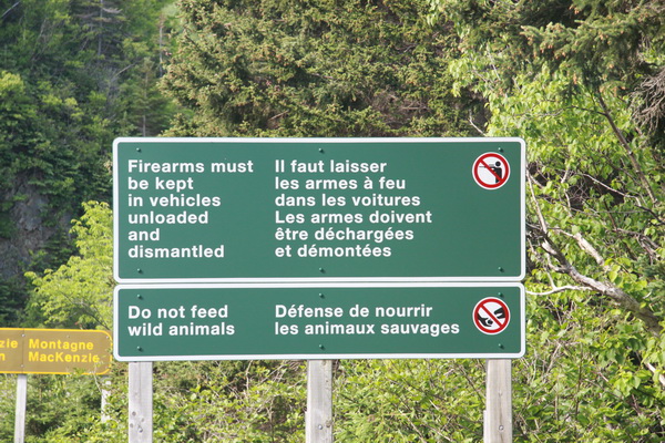 Vuurwapens en wilde dieren