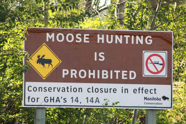 Verboden op Elanden te jagen