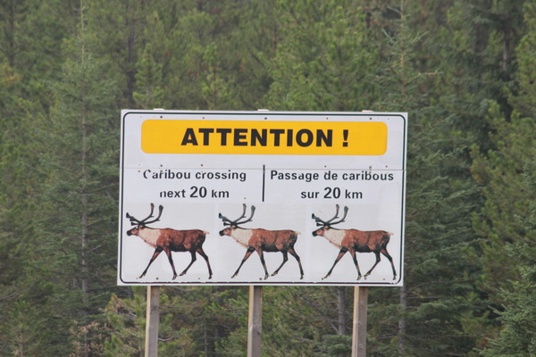 Waarschuwing Caribou