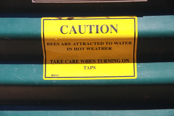 Pas op, bijen worden aangetrokken door water bij heet weer. Voorzichtig kraan openen