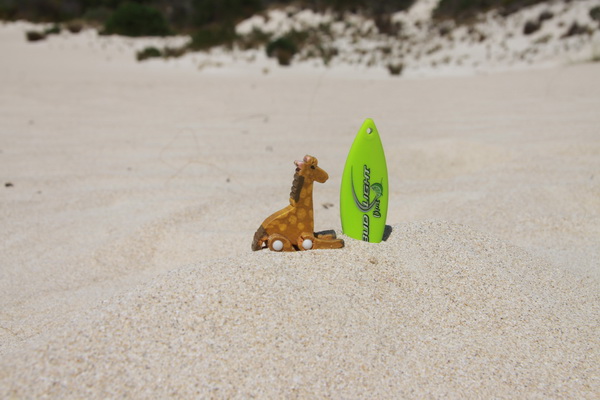 Ukkie november 2015 Little Sahara, Kangaroo Island (South Australia, Australie)
Trots naast zijn surfboard