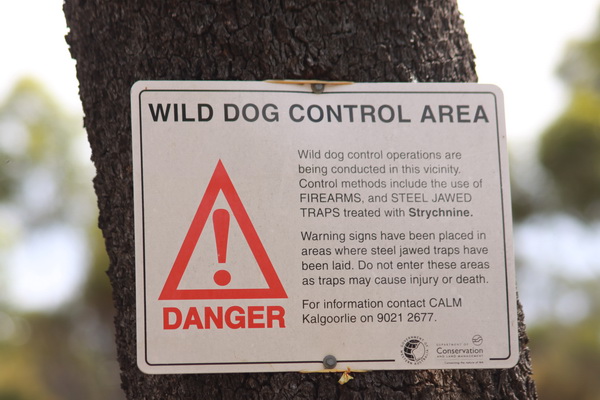 Waarschuwing, wilde honden vang gebied,  met vuurwapens en giftige vallen