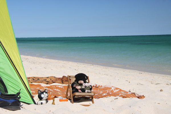 Beer, Muis, Giraffe, Ukkie, Poes en Felix mei 2016 Cape Range NP (West Australie, Australie)
Met z'n allen op het strand