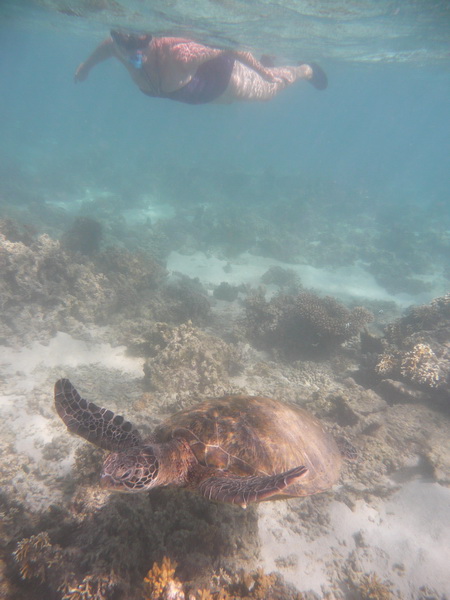 Magda mei 2016 - Cape Range NP
Samen met een zeeschildpad