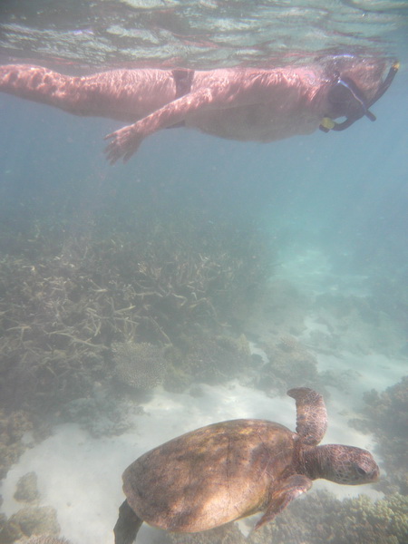Fred mei 2016 - Cape Range NP
Samen met een zeeschildpad
