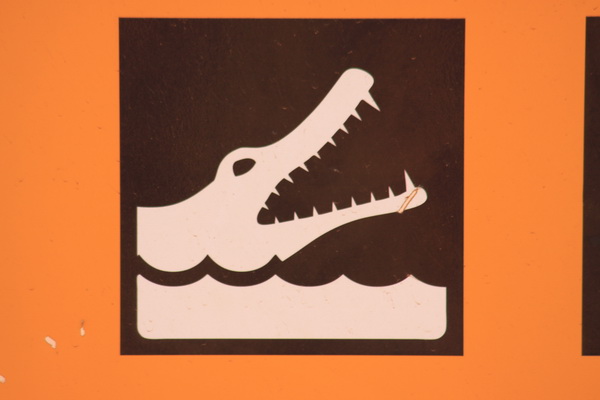 Waarschuwing; Zoutwater krokodillen