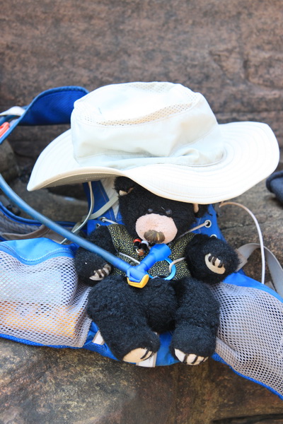 Beer juni 2016 - Mitchell Falls (Kimberley)
Mee op de rugzak tijdens de wandeling,  hoed op en goed drinken