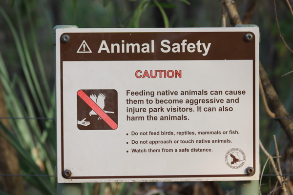 Waarschuwing; Geen dieren voeren
Kunnen daardoor agressief en gevaarlijk worden en kan ook ongezond voor ze zijn