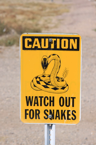 Pas op voor slangen