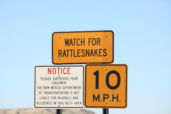 Pas op voor ratelslangen