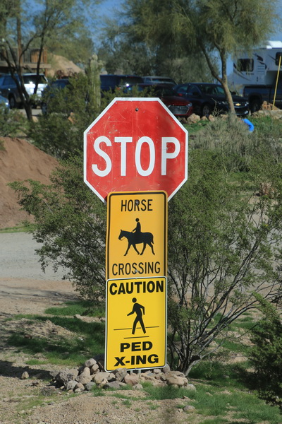 Stop, paarden en voetgangers kruisen