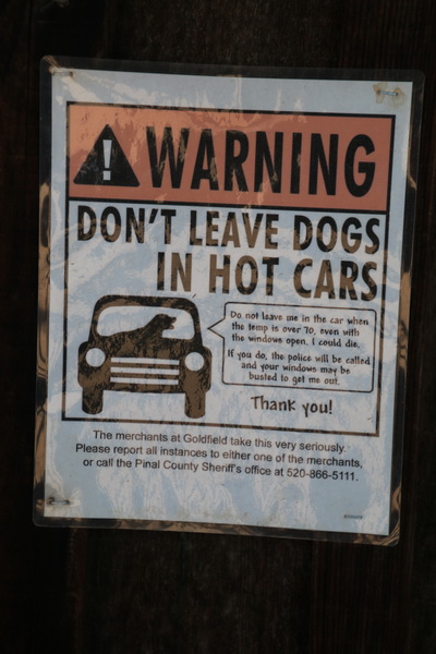 Waarschuwing, laat geen dieren in auto's bij hitte