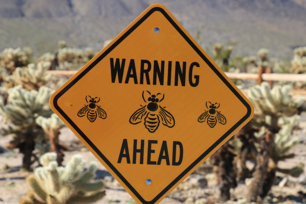 Waarschuwing voor bijen