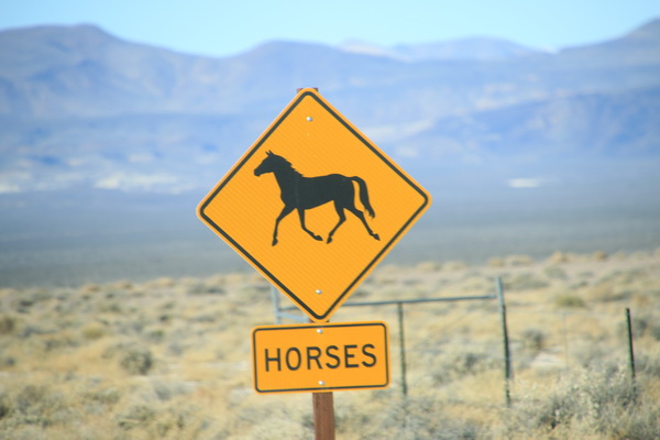 Waarschuwing voor paarden
