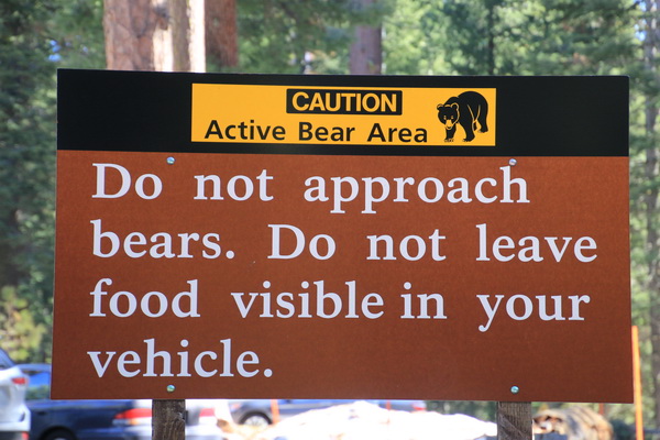 Benader geen (zwarte) beren, laat geen voedsel zichtbaar in het voertuig achter
Sequoia NP