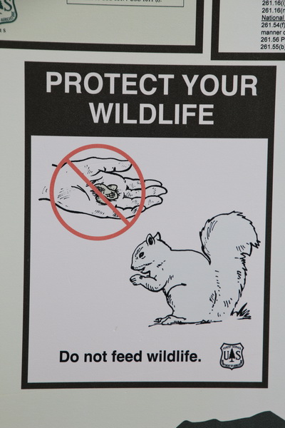 Bescherm de dieren, niet voederen