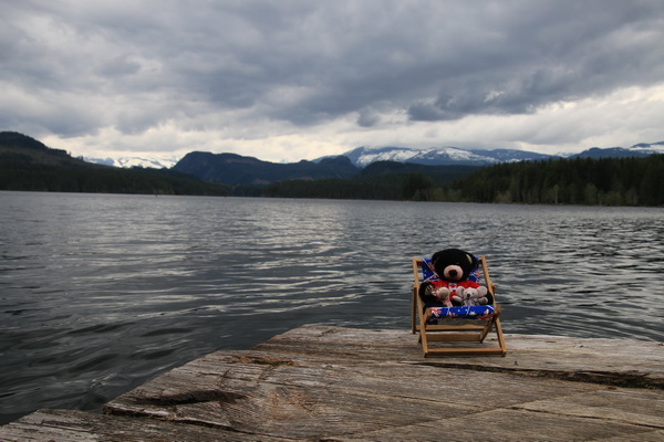 Beer, Muis en Giraffe mei 2017 - Loon Bay Recreation Site (Vancouver Island, BC, Canada)
Zittend in de strandstoel op het einde van een wiebelige steiger in Campbell Lake