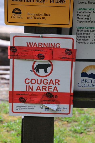 Waarschuwing, Cougar in de omgeving